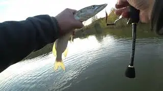 Щучий случай на каждом забросе. Не мормышинг.