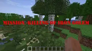MISSON TO KILL IRON GOLEM