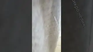 попробуй не взлететь! #мем #рекомендацыи #видео