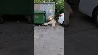 #мишка