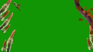 Nature Green Screen / Green Screen Flowers / Background Video Effects hd / Garden Background / Tree
