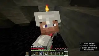 Minecraft gameplay