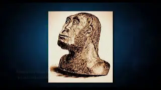 Fossili mancanti per l'evoluzione, ma numerosissimi per la creazione!
