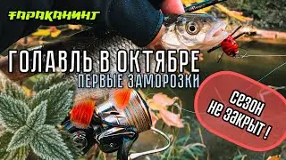 ГОЛАВЛЬ В ОКТЯБРЕ! Тараканинг в заморозки. Осенняя рыбалка!