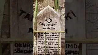Тенгри в переводе с тюркского Всевышний