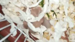 Хомячкам 8 дней