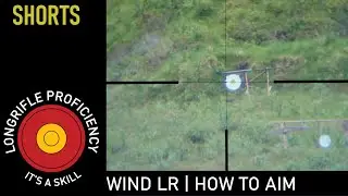 LRB mini (354): How to aim in wind