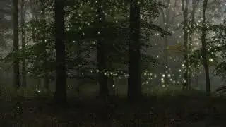 Short soundscape (mKer)