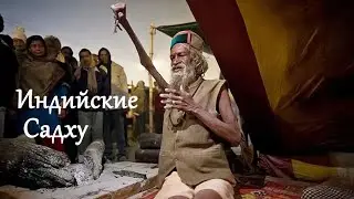 История Амар Бхарати, индийские садху и праздник Кумбха мела