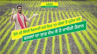 ਝੋਨੇ ਦੀ ਸਿੱਧੀ ਬਿਜਾਈ ਕਰਨ ਸਮੇਂ ਇਹ 10 ਕੰਮ ਨਾ ਕਰੋ : Direct seeded rice | Direct seeding method