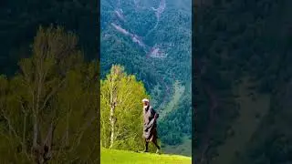 Чем сильнее вера человека, тем сильнее и счастливее он сам. #islam #duniya #sunnah #allah #noor