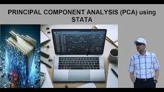 Principal Component Analysis (PCA) using STATA