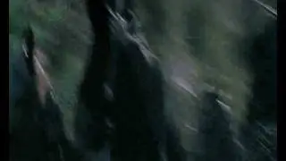 Arwen talk to animal, use of magic