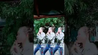 Basta lavezares idol