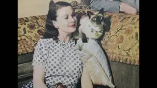 Vivien Leigh Laurence Olivier 1946 New Boy The Cat Part 1
