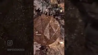 Merry Christmas 2022 