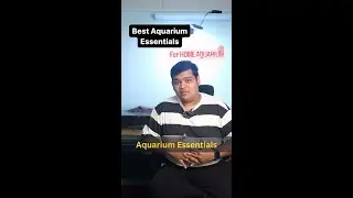 WHAT IS THE BEST AQUARIUM ESSENTIAL FOR HOME AQUARIUM ? #shorts #aquarium #fishtank #pets #aquariums