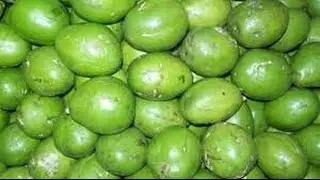 জেনে নিন আমড়ার পুষ্টিগুণ