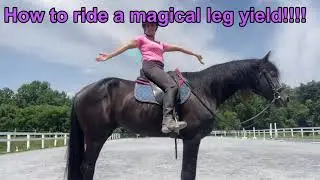 How to do Magical Dressage Leg Yields