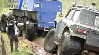 Тром 8 и Хунта