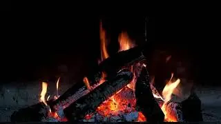 A Thoughtful Campfire