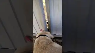 Люда, просыпайся! Валера пришёл, есть хочет😂😂😂
