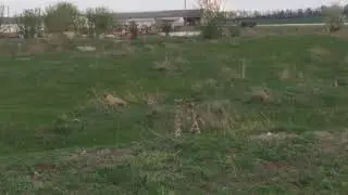 БАЙБАК(BAYBAK)