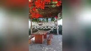 5 tipos de plantas para pergolados