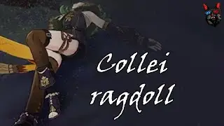 Collei ragdoll compilation - Genshin Impact