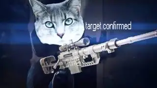 CS:GO DOGS