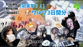 【初実写】スキズのワルツに行ったついでにVlog作ったらVlogっつーよりネタ動画になったんだけど。#straykids #スキズ #kpop