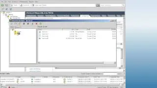 vMware labs How to completely delete VM from datastore in vSphere vCenter of ESXi 5