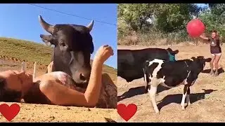 Esse vídeo te faz pensar...How to treat animals