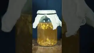 Avant l'invention des sodas, le gingembre...