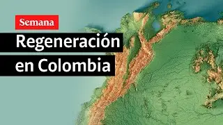 🔴V Cumbre de Sostenibilidad | La regeneración, un compromiso de Colombia con el medioambiente