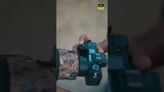 NIKON Z6Mark III with 400mm f2.8 lens