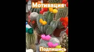 💕1024💕🥰🙏🥰 