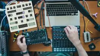 Algorithmic Soundscape | Self-Designed Generative Synth & Bastl Thyme+