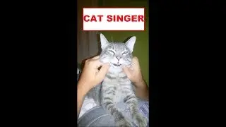 real cat singer