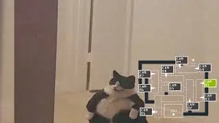 feline fnaf