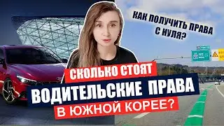 Сколько стоят водительские права в Южной Корее \ Как получить права с нуля