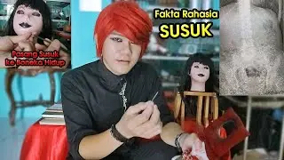 BONGKAR TOTAL !! Fakta Rahasia SUSUK ~ 