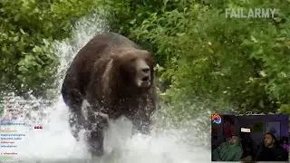 LosPollosTV and Dad react to Funny Scary Animal Encounters!