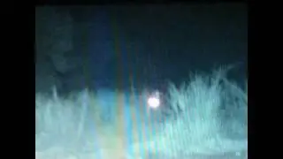 REAL ALIEN SIGHTING!  Spooky Original Video/sighting