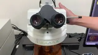 Demo Motorized Epifluorescence Microscope #nikon #motorized #fluorescence #microscope