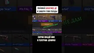 22 июля 2024 г.