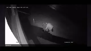 Drunk grannies caught on camera