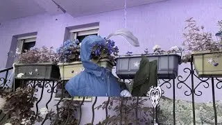 Lufthansa - Сенки