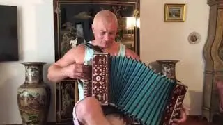 #гармонь