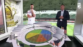 Cricket Graphics: Nov-Dec 2019